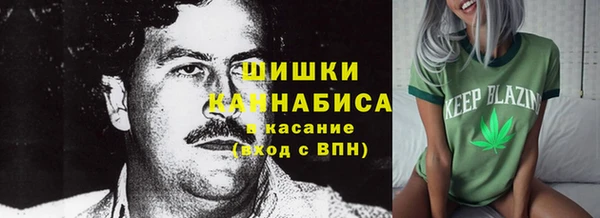 прущие грибы Абаза