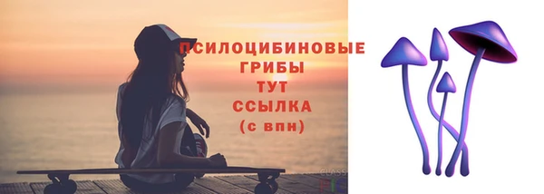 эйфоретик Алзамай